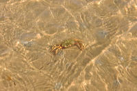 Sylt, Insel Sonne Sand und Strand im Norden von Deutschland