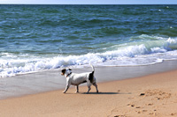 Sylt, Insel Sonne Sand und Strand im Norden von Deutschland