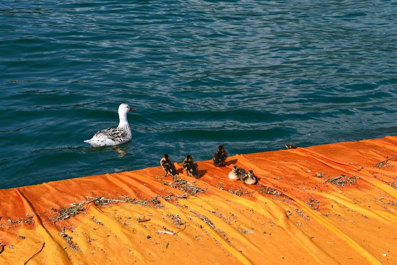 The Floating Piers, Lake Iseo Italiy, 2014 - 2016 Christo and Jeanne-Claude