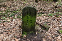 Historische Walddusche Gleisweiler im Haimbachtal Waldgemarkung der südpfälzischen Ortsgemeinde Gleisweiler.