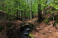 Historische Walddusche Gleisweiler im Haimbachtal Waldgemarkung der südpfälzischen Ortsgemeinde Gleisweiler.