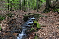Historische Walddusche Gleisweiler im Haimbachtal Waldgemarkung der südpfälzischen Ortsgemeinde Gleisweiler.