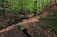 Historische Walddusche Gleisweiler im Haimbachtal Waldgemarkung der südpfälzischen Ortsgemeinde Gleisweiler.