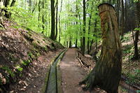 Historische Walddusche Gleisweiler im Haimbachtal Waldgemarkung der südpfälzischen Ortsgemeinde Gleisweiler.