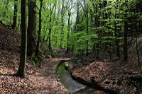 Historische Walddusche Gleisweiler im Haimbachtal Waldgemarkung der südpfälzischen Ortsgemeinde Gleisweiler.