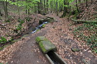 Historische Walddusche Gleisweiler im Haimbachtal Waldgemarkung der südpfälzischen Ortsgemeinde Gleisweiler.