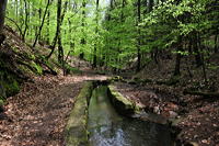 Historische Walddusche Gleisweiler im Haimbachtal Waldgemarkung der südpfälzischen Ortsgemeinde Gleisweiler.
