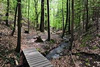 Historische Walddusche Gleisweiler im Haimbachtal Waldgemarkung der südpfälzischen Ortsgemeinde Gleisweiler.