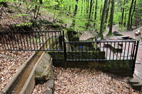 Historische Walddusche Gleisweiler im Haimbachtal Waldgemarkung der südpfälzischen Ortsgemeinde Gleisweiler.