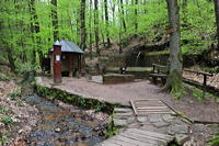 Historische Walddusche Gleisweiler im Haimbachtal Waldgemarkung der südpfälzischen Ortsgemeinde Gleisweiler.