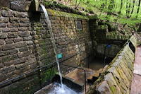 Historische Walddusche Gleisweiler im Haimbachtal Waldgemarkung der südpfälzischen Ortsgemeinde Gleisweiler.