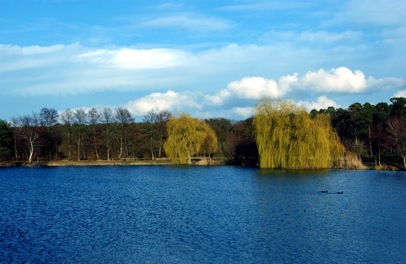 Mörfelden-Walldorf Waldenserstadt Rhein Main Airport 