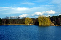 Mörfelden-Walldorf Waldenserstadt Rhein Main Airport 