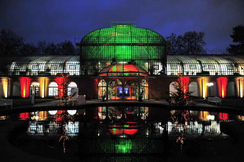 Winterlicht im Palmengarten Frankfurt Dezember 2012