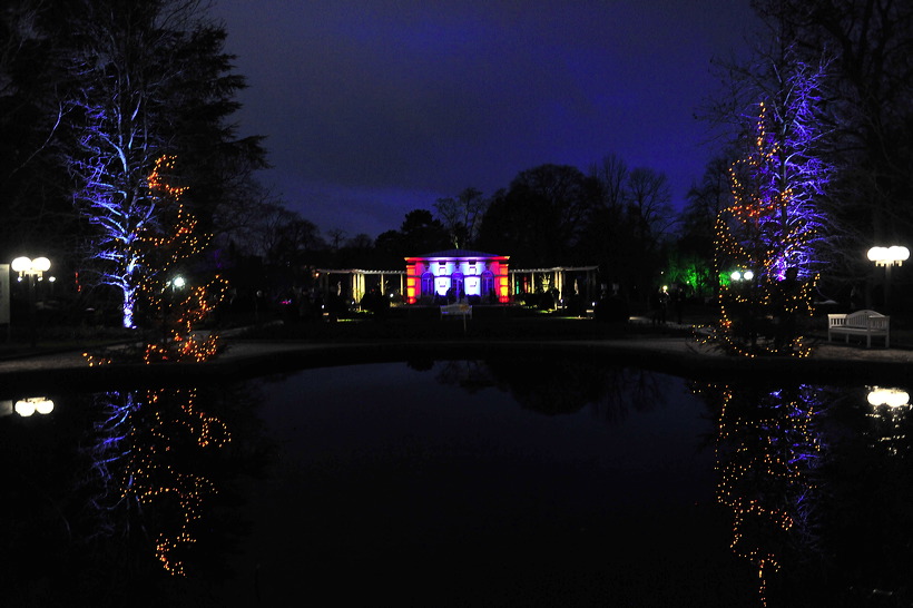 Winterlicht im Palmengarten Frankfurt Dezember 2012