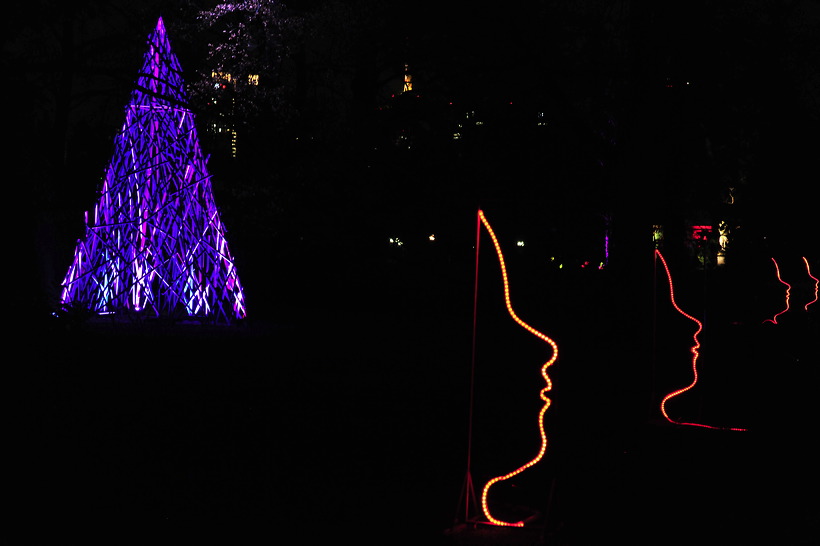 Winterlicht im Palmengarten Frankfurt Dezember 2012