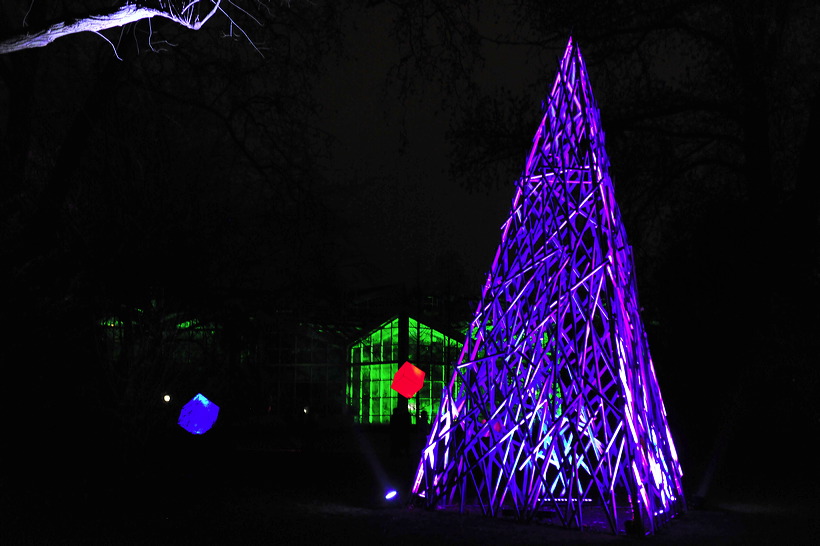 Winterlicht im Palmengarten Frankfurt Dezember 2012