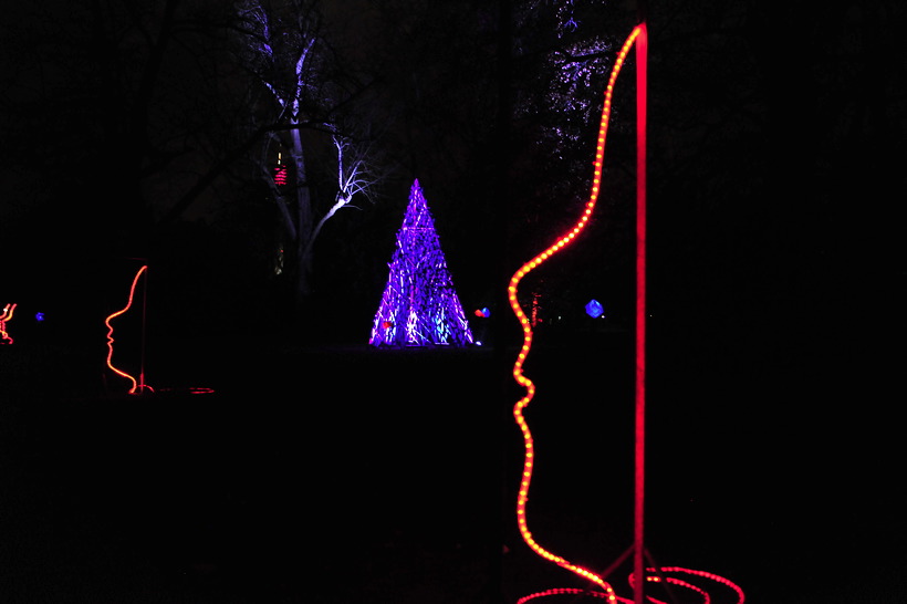 Winterlicht im Palmengarten Frankfurt Dezember 2012