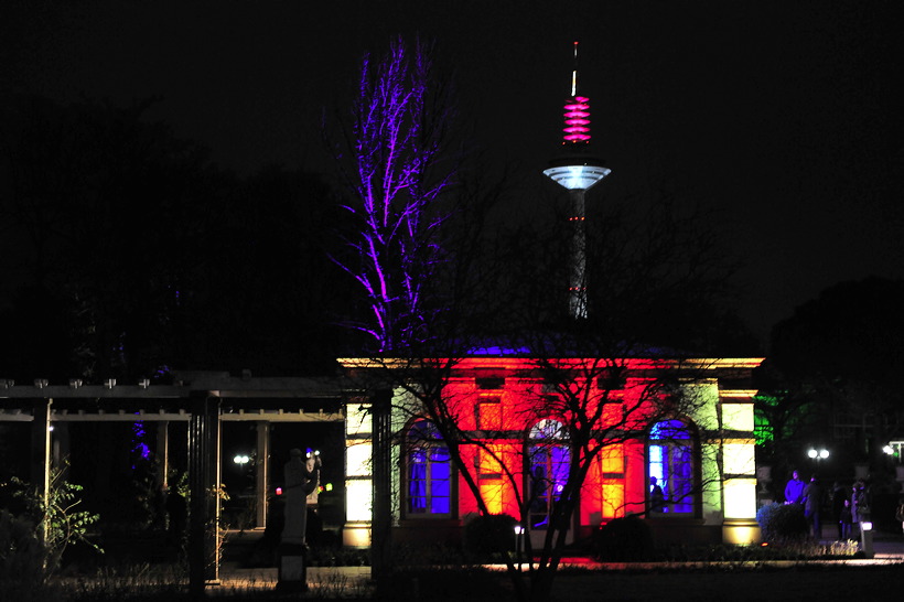 Winterlicht im Palmengarten Frankfurt Dezember 2012