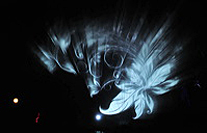 Winterlicht im Palmengarten Frankfurt Dezember 2012