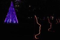 Winterlicht im Palmengarten Frankfurt Dezember 2012