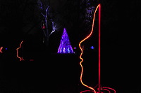 Winterlicht im Palmengarten Frankfurt Dezember 2012