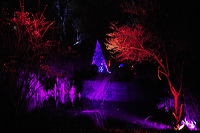 Winterlicht im Palmengarten Frankfurt Dezember 2012