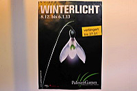 Winterlicht im Palmengarten Frankfurt Dezember 2012