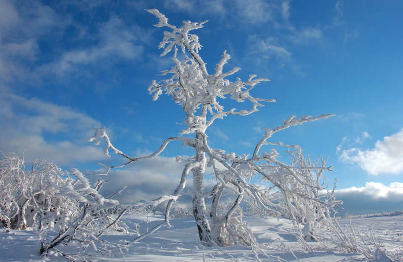 Winterzauber Wasserkuppe Rhön Ski- und Rodelarena und Paragliding.