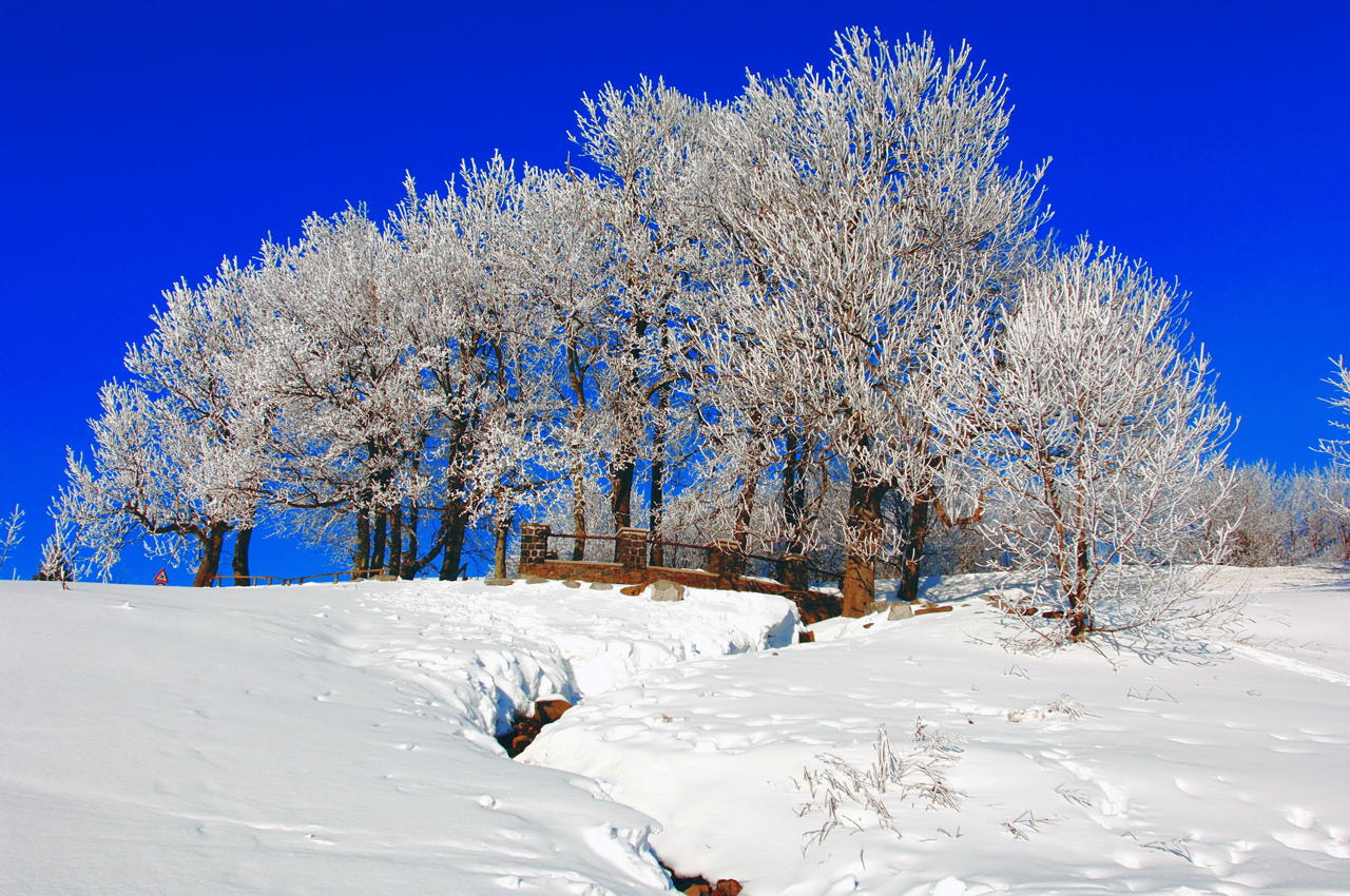 Winterzauber Wasserkuppe Rhön Ski- und Rodelarena und Paragliding.