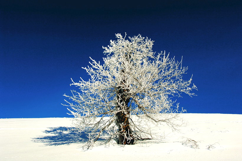 Winterzauber Wasserkuppe Rhön Ski- und Rodelarena und Paragliding.