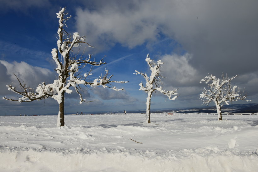 Winterzauber Wasserkuppe Rhön Ski- und Rodelarena und Paragliding.