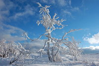 Winterzauber Wasserkuppe Rhön Ski- und Rodelarena und Paragliding.