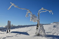 Winterzauber Wasserkuppe Rhön Ski- und Rodelarena und Paragliding.