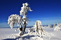 Winterzauber Wasserkuppe Rhön Ski- und Rodelarena und Paragliding.