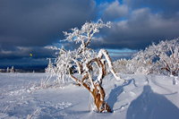 Winterzauber Wasserkuppe Rhön Ski- und Rodelarena und Paragliding.