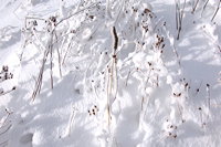 Winterzauber Wasserkuppe Rhön Ski- und Rodelarena und Paragliding.