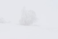 Winterzauber Wasserkuppe Rhön Ski- und Rodelarena und Paragliding.