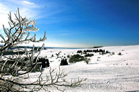 Winterzauber Wasserkuppe Rhön Ski- und Rodelarena und Paragliding.