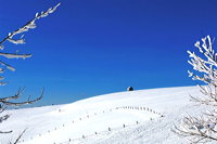 Winterzauber Wasserkuppe Rhön Ski- und Rodelarena und Paragliding.