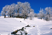 Winterzauber Wasserkuppe Rhön Ski- und Rodelarena und Paragliding.