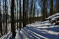 Winterzauber Wasserkuppe Rhön Ski- und Rodelarena und Paragliding.